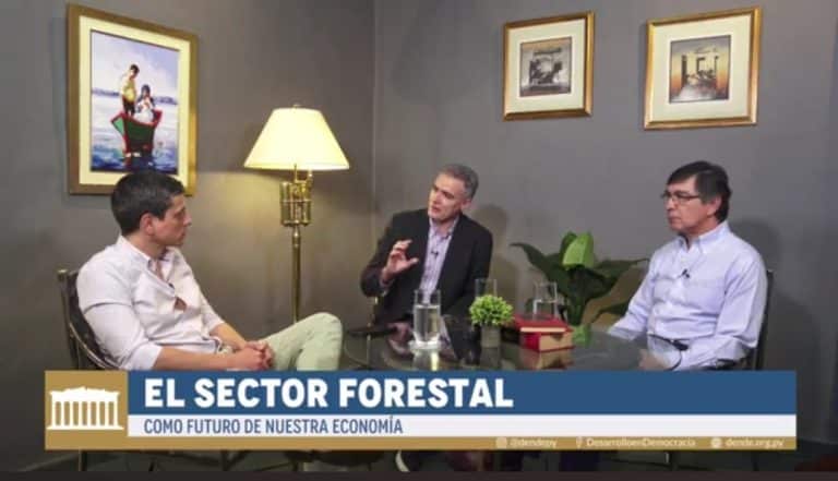 Producción forestal puede convertirse en tercer hito que impulse desarrollo del Paraguay