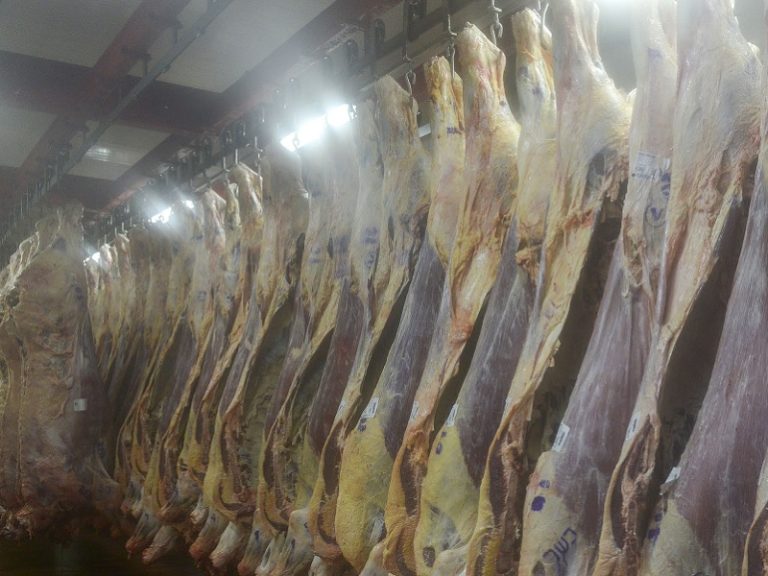 Se exportaron más 154 mil toneladas de carne en el primer semestre