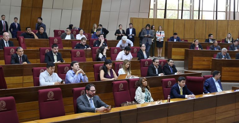 Complicidad y confusión: el debate sobre la criptominería en el Congreso