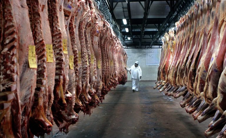 Exportación de origen animal creció en un 15% en primer semestre