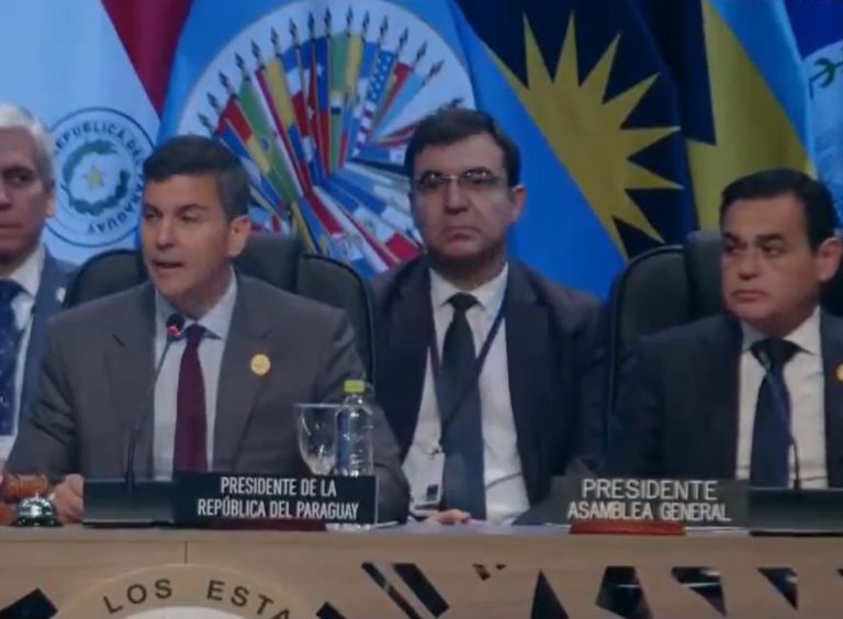 Peña ante la OEA condenó levantamientos contra la democracia