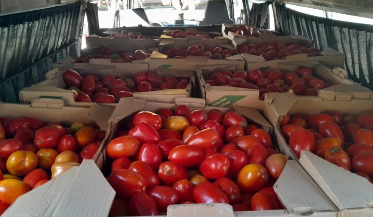 Brutal golpe al contrabando con incautación de tomates