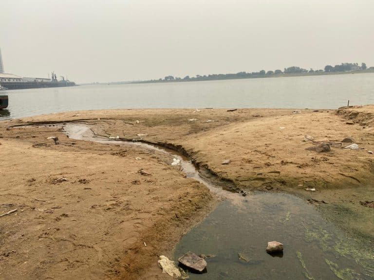 Lluvias en el Pantanal darán alivio momentáneo al río Paraguay