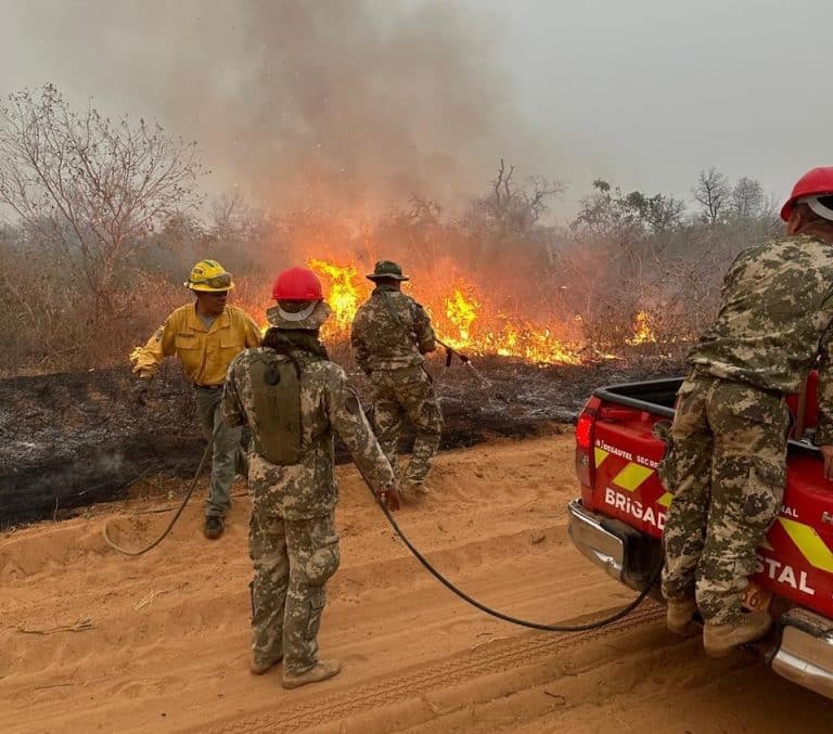 Chovoreca: incendios forestales alcanzaron las 100.000 hectáreas