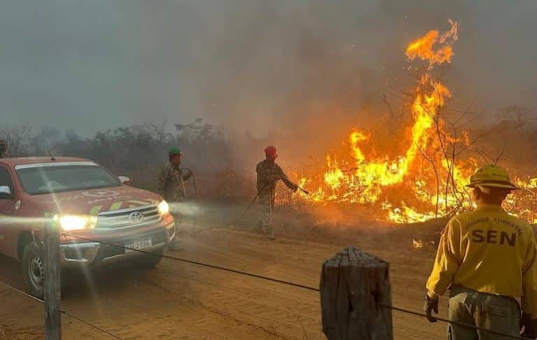 INFONA dio números sobre los incendios forestales en Paraguay de los últimos dos meses