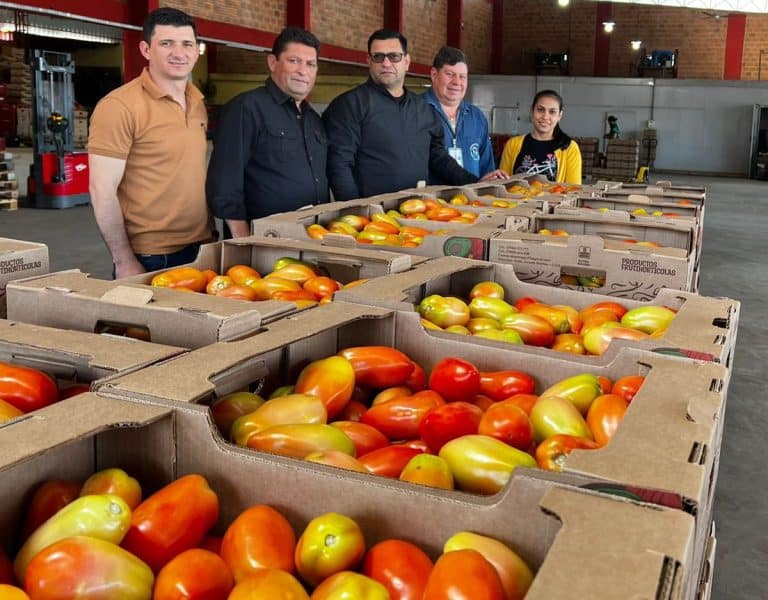 Exportaron más de 1.000 toneladas de tomate paraguayo a la Argentina