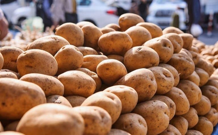 Reabrieron importación de papas argentinas